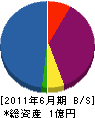 牟田塗装工業 貸借対照表 2011年6月期