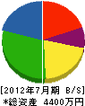 山崎工業 貸借対照表 2012年7月期