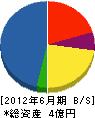 沖永開発 貸借対照表 2012年6月期