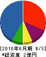 早川工業 貸借対照表 2010年6月期