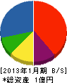 佐虎建業 貸借対照表 2013年1月期