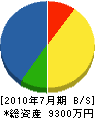 永沢 貸借対照表 2010年7月期