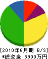 三晃メンテクス 貸借対照表 2010年6月期
