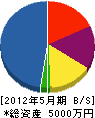 佐々木工務店 貸借対照表 2012年5月期