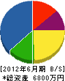 千坂設備 貸借対照表 2012年6月期