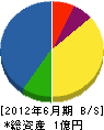 竜田産業 貸借対照表 2012年6月期