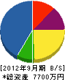 藪内電工 貸借対照表 2012年9月期