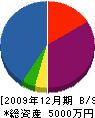 斎藤ポンプ工業 貸借対照表 2009年12月期