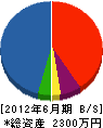瀧設備 貸借対照表 2012年6月期