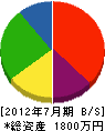 渡辺庭石グリーン 貸借対照表 2012年7月期
