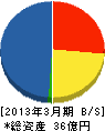 日本デジタル放送システムズ 貸借対照表 2013年3月期