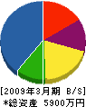 十文字造園 貸借対照表 2009年3月期