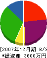 千葉建築 貸借対照表 2007年12月期