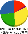 豊田工務店 貸借対照表 2009年12月期