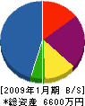 三井環境 貸借対照表 2009年1月期