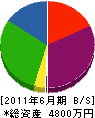 日本安全施設 貸借対照表 2011年6月期