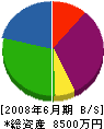 鈴木防水工業 貸借対照表 2008年6月期