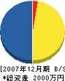 新川土木 貸借対照表 2007年12月期