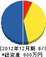 桝田塗装店 貸借対照表 2012年12月期