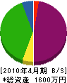 藤田建設 貸借対照表 2010年4月期