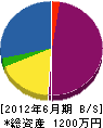 高橋総合設備 貸借対照表 2012年6月期