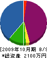 渡辺電機 貸借対照表 2009年10月期