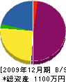 緑幸園 貸借対照表 2009年12月期