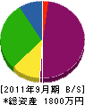 桂塗装店 貸借対照表 2011年9月期