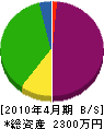 藤原電気 貸借対照表 2010年4月期