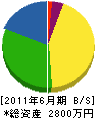 藤井造園 貸借対照表 2011年6月期