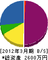 沼崎電気 貸借対照表 2012年3月期