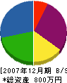渡辺植木店 貸借対照表 2007年12月期