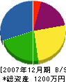 南信温水 貸借対照表 2007年12月期