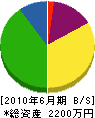 松井組 貸借対照表 2010年6月期