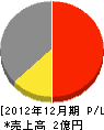 隅田建設 損益計算書 2012年12月期