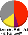 琉球ゴーレックス 損益計算書 2011年9月期
