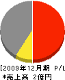 渋谷組 損益計算書 2009年12月期