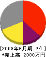 尾崎電気 損益計算書 2009年6月期