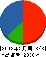 小田土建 貸借対照表 2012年5月期