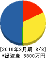 沖島電機 貸借対照表 2010年3月期