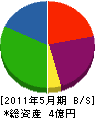 湘南建設 貸借対照表 2011年5月期