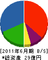 渡辺工務店 貸借対照表 2011年6月期