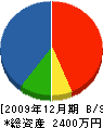 藤原電気商会 貸借対照表 2009年12月期