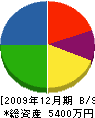 村川土木 貸借対照表 2009年12月期