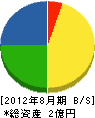 松田電機工業 貸借対照表 2012年8月期