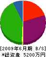 中川政建設 貸借対照表 2009年6月期