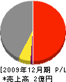 柳田建設 損益計算書 2009年12月期