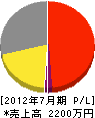 坂井電工社 損益計算書 2012年7月期