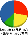 谷中幹工務店 貸借対照表 2009年12月期