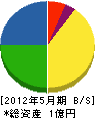 松孝建設 貸借対照表 2012年5月期